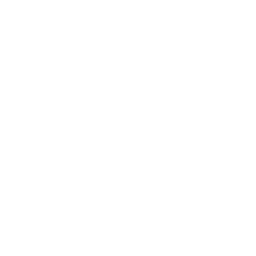 NxtChaptr Logo